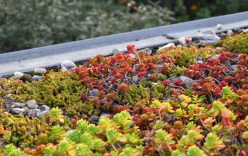 the cost of Lee On The Solent green roof installation
