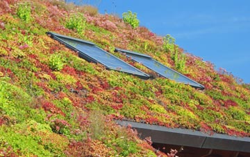 Lee On The Solent living roof systems