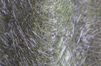 Lee On The Solent fibreglass roof work